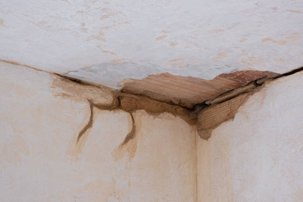 Best Emergency water damage restoration  in Wintersville, OH