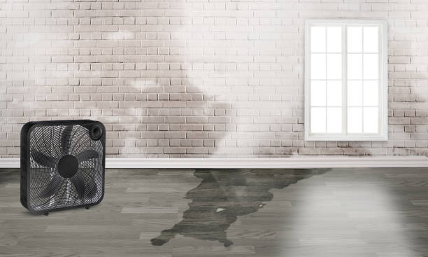 Best Emergency water damage restoration  in Wintersville, OH
