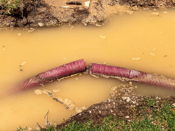 Best Water damage cleanup near me  in Wintersville, OH