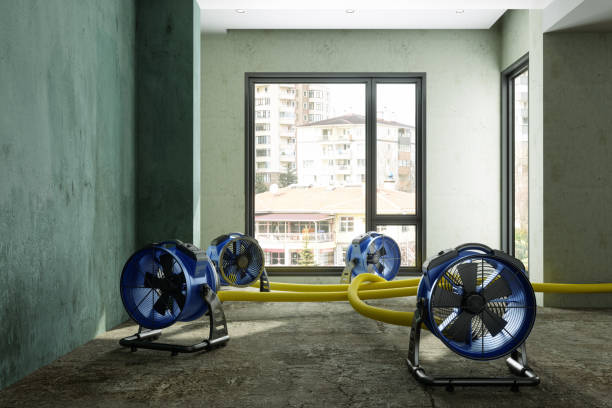 Best 24-hour water damage restoration  in Wintersville, OH